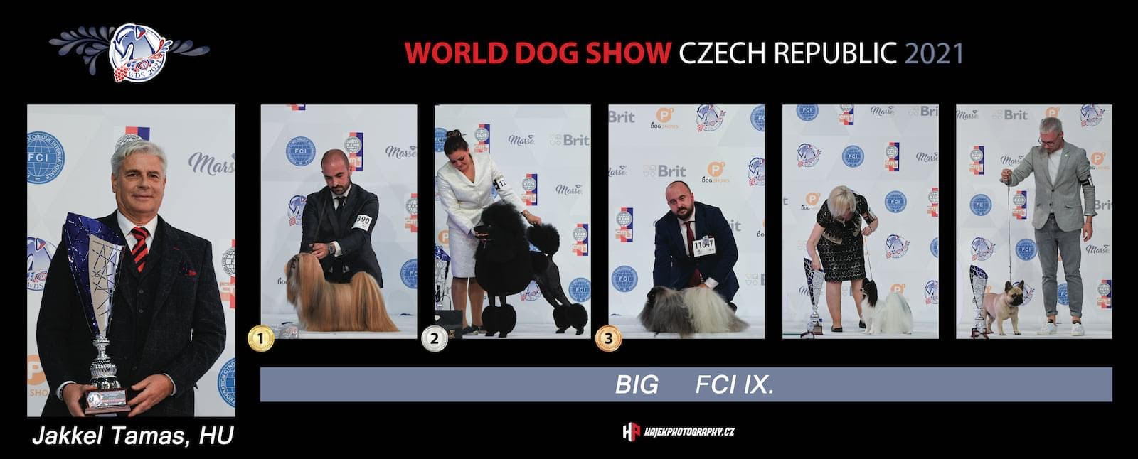 World Dog Show 2021 Brno