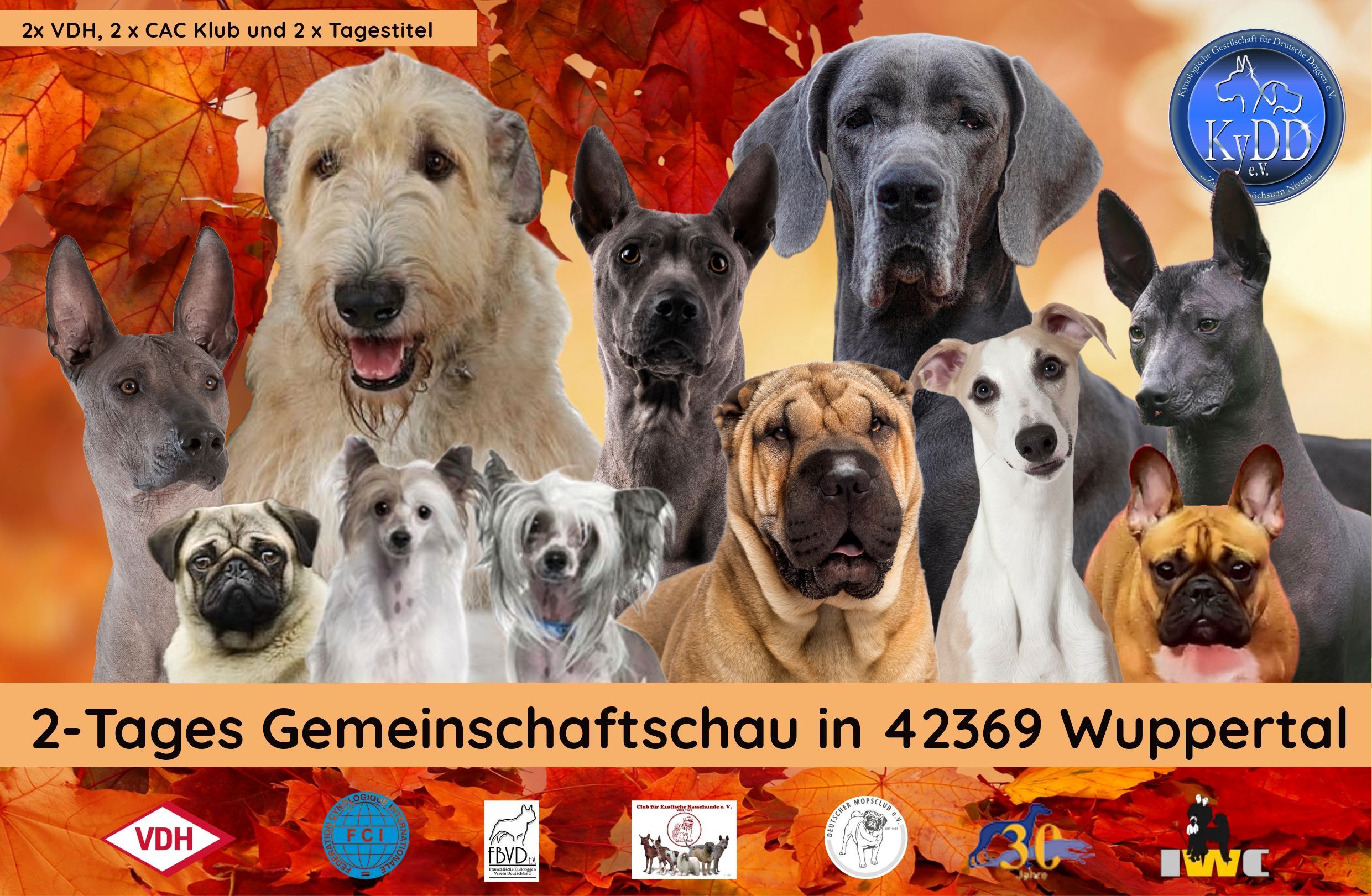 Westfalen Sieger 2024 + Autumn Winner 2024 in Wuppertal am 21/22.09.2024