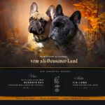 Zwinger vom alt-Deusener-Land