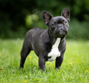 C'est le cadeau de notre coeur