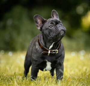 C'est la vie de notre